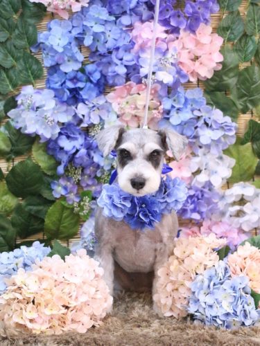 20250620ふたばちゃん